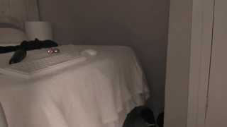 _dakota_a thumbnail