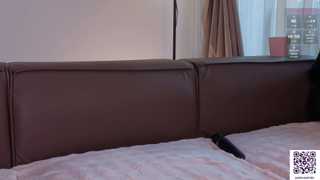 adelia_ntmu thumbnail