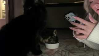 ari_02 thumbnail