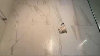 ava_delightt thumbnail