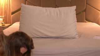 chaturbabe__ thumbnail