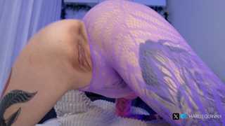 harliequinnx thumbnail