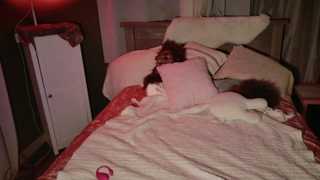 kaileeshy thumbnail