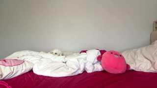 luluxoxo3 thumbnail