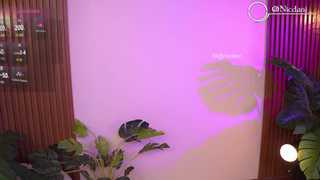 nicdani_1 thumbnail