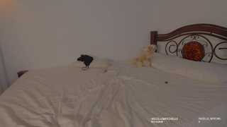 nicolle_mitchelle thumbnail