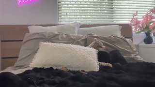 novamills thumbnail
