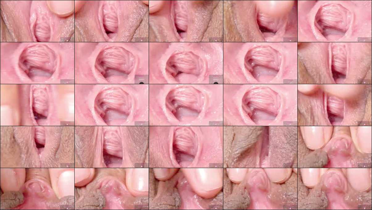 orchidekitty - February 2, 2026