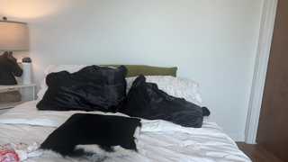 parisangel7 thumbnail
