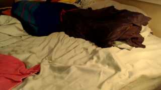 roxyrolla thumbnail