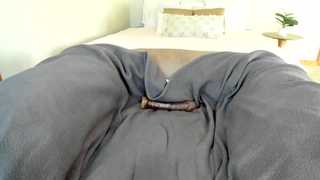 sexxylaurab thumbnail