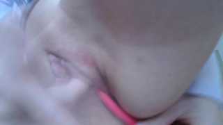 single_fox_4u thumbnail
