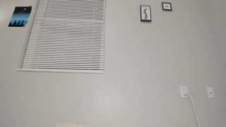 venicebtchh thumbnail