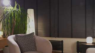 villanelle_l thumbnail