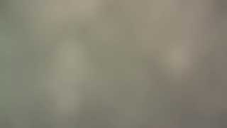 wekittycluby thumbnail