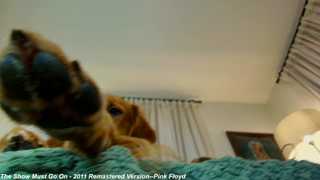 x_lily_x thumbnail