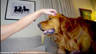 x_lily_x thumbnail